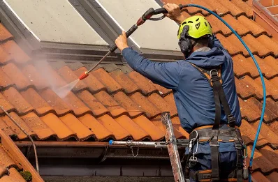 Démoussage et hydrofuge de toiture à Hampont